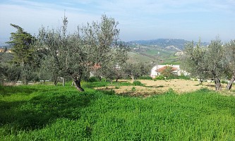 Terreno Edificabile Res. in vendita lungo la provinciale Chieti Casalicontra Casalincontrada (CH)