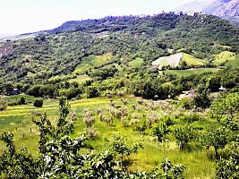 Casa indipendente in vendita contrada limiti di sotto Palombaro (CH)