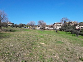 Terreno Edificabile Res. in vendita via vaschiola Torrevecchia Teatina (CH)