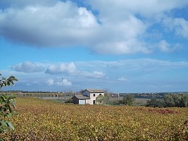 Casa indipendente in vendita  Scerni (CH)