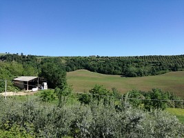 Terreno Agricolo in vendita  Penne (PE)