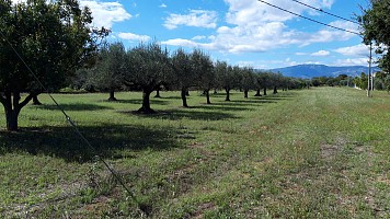 Terreno Edificabile Res. in vendita via Forlani Cepagatti (PE)