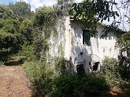 Terreno Agricolo in vendita strada della pace Chieti (CH)