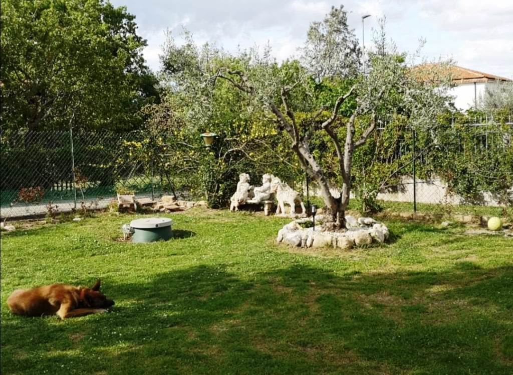 Casa indipendente in vendita via casoni Vicoli (PE)