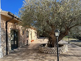 Ristorante in vendita contrada Bauglione Civitaquana (PE)