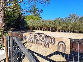 Casale o Rustico in affitto  Loreto Aprutino (PE)
