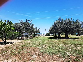 Terreno Edificabile Res. in vendita  Montesilvano (PE)