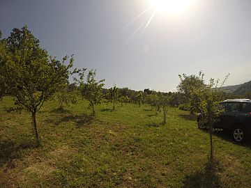 Terreno Agricolo in vendita a Bucchianico (CH) strada provinciale 14 foto 8