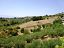 Terreno Edificabile Res. in vendita a Torrevecchia Teatina (CH) via vaschiola foto 9