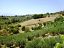Terreno Edificabile Res. in vendita a Torrevecchia Teatina (CH) via vaschiola foto 8