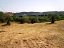 Terreno Edificabile Res. in vendita a Torrevecchia Teatina (CH) via vaschiola foto 6