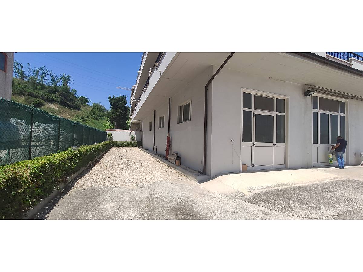 Entire building for sale in Via della Bonifica 27  at Cepagatti - 2641065 foto 3