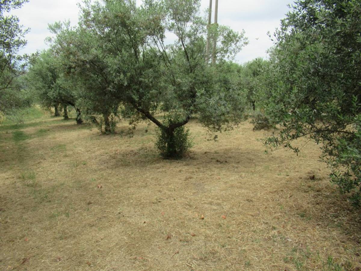 Appartamento in vendita in via san giacomo  a Citt Sant'Angelo - 3731355 foto 7