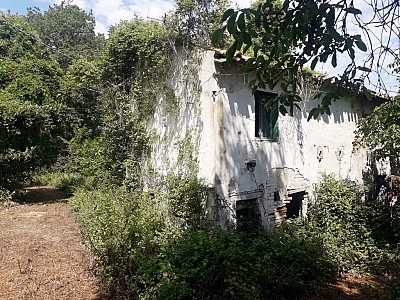 Terreno Agricolo in vendita a Chieti