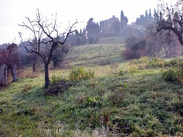 Terreno Agricolo in vendita contrada costa cola Bucchianico (CH)