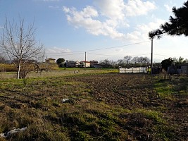 Terreno Edificabile Res. in vendita strada statale 81 Cepagatti (PE)