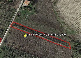 Terreno Agricolo in vendita Contrada Montalfano Cupello (CH)