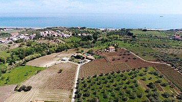 Terreno Agricolo in vendita  Ortona (CH)