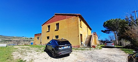 Terreno Agricolo in vendita  Nocciano (PE)