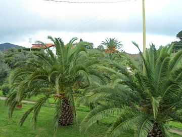 Casa indipendente in vendita a Rio nell'Elba (LI) Loc. Campo al Pero foto 2