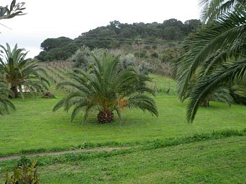 Casa indipendente in vendita a Rio nell'Elba (LI) Loc. Campo al Pero foto 1