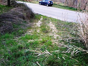 Terreno Agricolo in vendita a Casalincontrada (CH)  foto 8