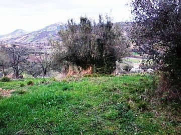 Terreno Agricolo in vendita a Casalincontrada (CH)  foto 6