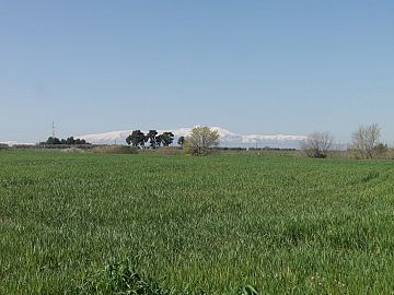 Terreno Agricolo in vendita a Vasto (CH)  foto 4