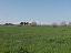Terreno Agricolo in vendita a Vasto (CH)  foto 6