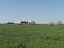Terreno Agricolo in vendita a Vasto (CH)  foto 4