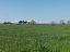 Terreno Agricolo in vendita a Vasto (CH)  foto 8