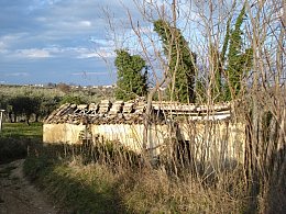 Vendita Casale o Rustico in V a Ortona