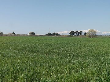 Terreno Agricolo in vendita a Vasto (CH)  foto 9