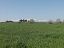Terreno Agricolo in vendita a Vasto (CH)  foto 3