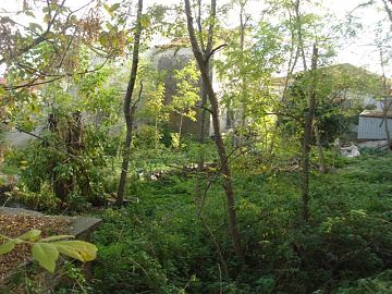 Casale o Rustico in vendita a Ortona (CH)  foto 8
