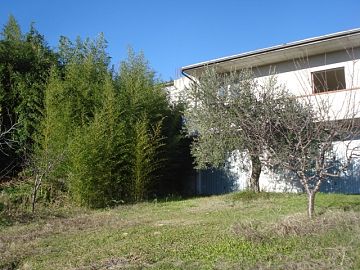 Villa in vendita a Tollo (CH)  foto 2