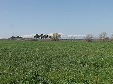 Terreno Agricolo in vendita a Vasto (CH)  foto 3