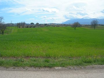 Terreno Edificabile Res. in vendita a Cepagatti (PE) Via Aurora foto 3