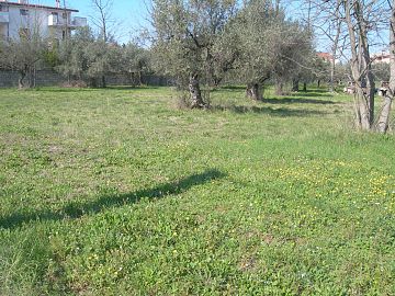 Terreno Edificabile Res. in vendita a Cepagatti (PE)  foto 2
