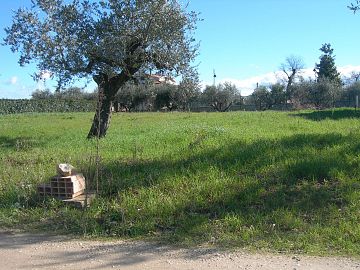 Terreno Edificabile Res. in vendita a Cepagatti (PE) loc. Sant'Agata foto 3
