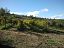 Terreno Agricolo in vendita a Bucchianico (CH) C.da Costa Cola foto 4