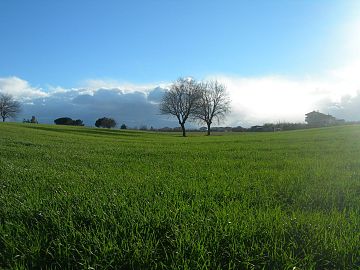 Terreno Edificabile Res. in vendita a Cepagatti (PE) Via Aurora foto 1