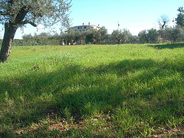 Terreno Edificabile Res. in vendita a Cepagatti (PE) loc. Sant'Agata foto 2