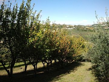 Terreno Agricolo in vendita a Bucchianico (CH) C.da Costa Cola foto 2