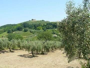 Terreno Edificabile Res. in vendita a Ripa Teatina (CH) Via Chieti foto 3