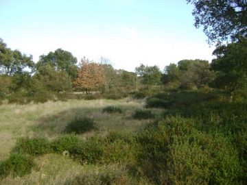 Terreno Agricolo in vendita a Siracusa (SR)  foto 2