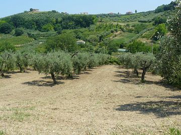 Terreno Edificabile Res. in vendita a Ripa Teatina (CH) Via Chieti foto 1