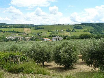 Casa indipendente in vendita a Villamagna (CH) C.Da Colle Maggio foto 7