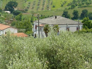 Casa indipendente in vendita a Villamagna (CH) C.Da Colle Maggio foto 3