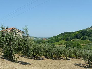 Terreno Edificabile Res. in vendita a Ripa Teatina (CH) Via Chieti foto 4